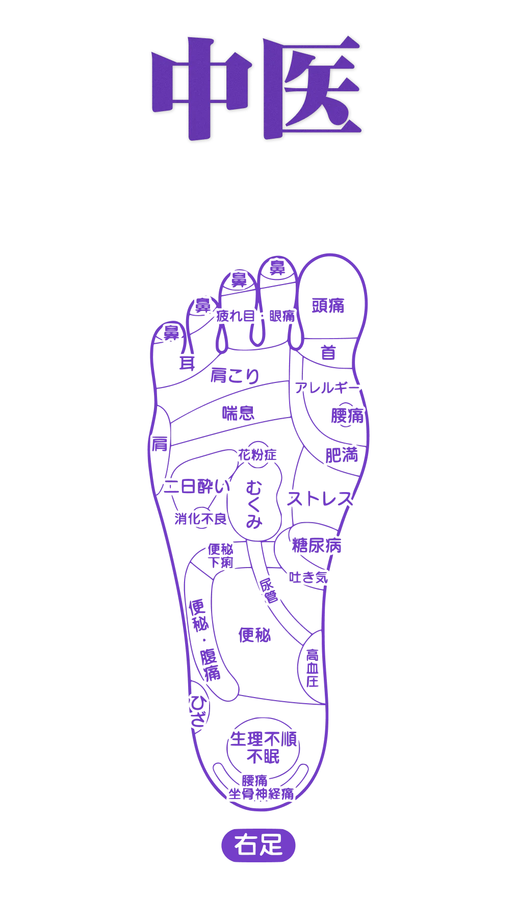 Foot reflex zone chart — teaching material from the reflexology course